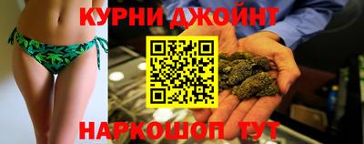 сатива Лесосибирск