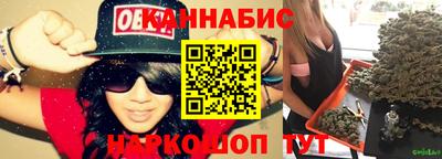 сатива Лесосибирск